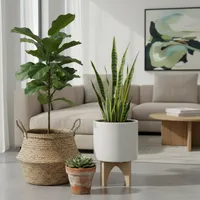 img of The Best Pots and Planters for Fake Plants: Choosing the Foundation for Realism